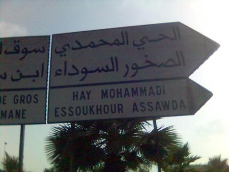 hay mohammadi